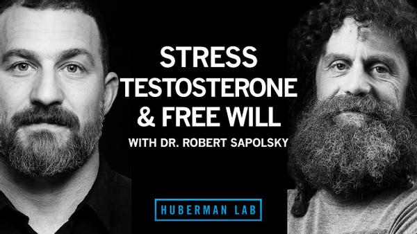 Dr. Robert Sapolsky: Science of Stress, Testosterone & Free Will | Huberman Lab Podcast #35