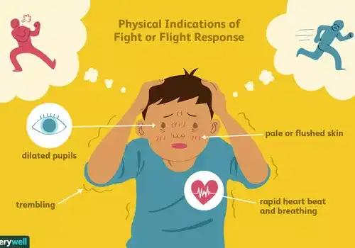 The Fight-or-Flight Response Prepares Your Body to Take Action