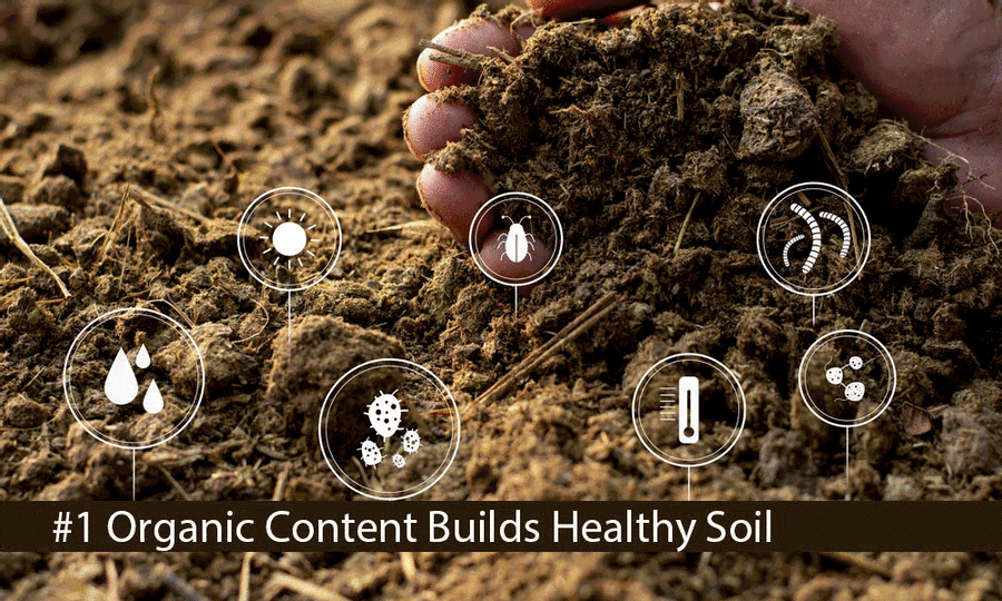 save soil