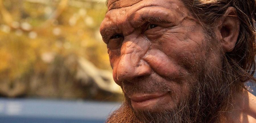 H. Neanderthalensis: The Neanderthal Thinkers (400,000 – 40,000 Years Ago)