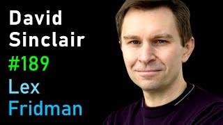 David Sinclair: Extending the Human Lifespan Beyond 100 Years | Lex Fridman Podcast #189