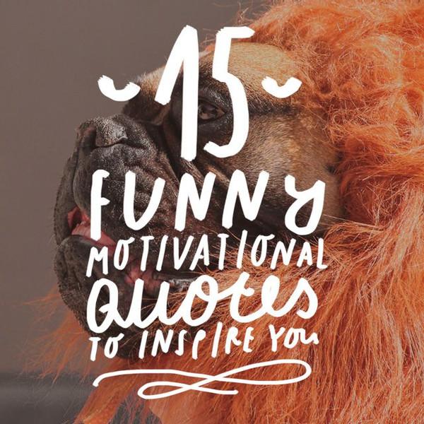 15 Funny Motivational Quotes to Inspire You