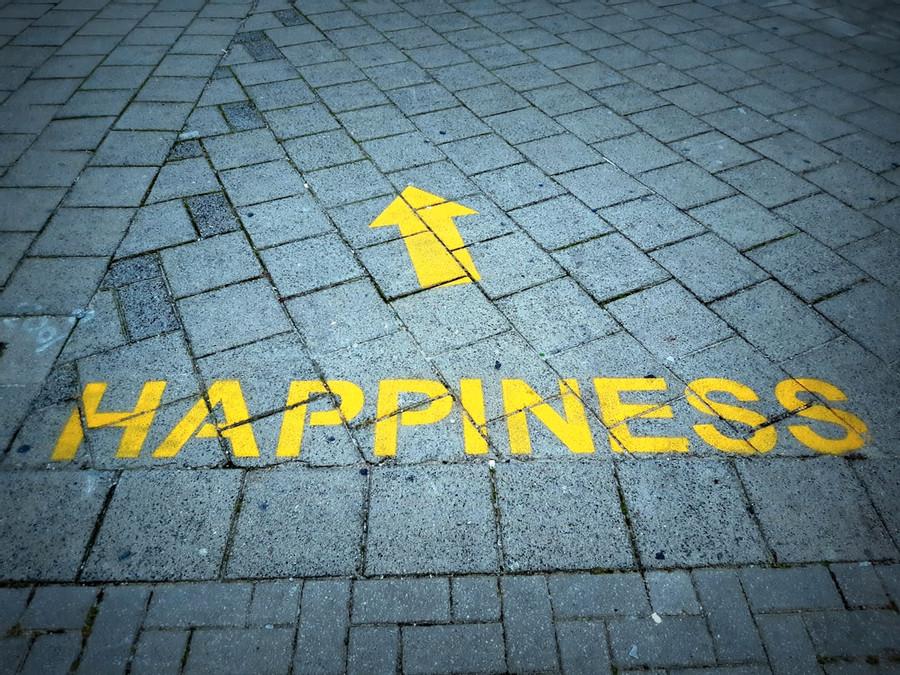 Future Happiness: A Key Metric In Making Decisions