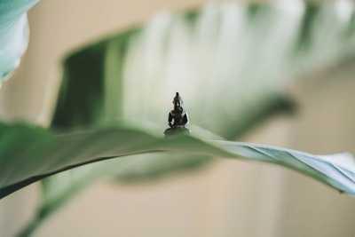 Essential Meaningful Productivity : zen habits