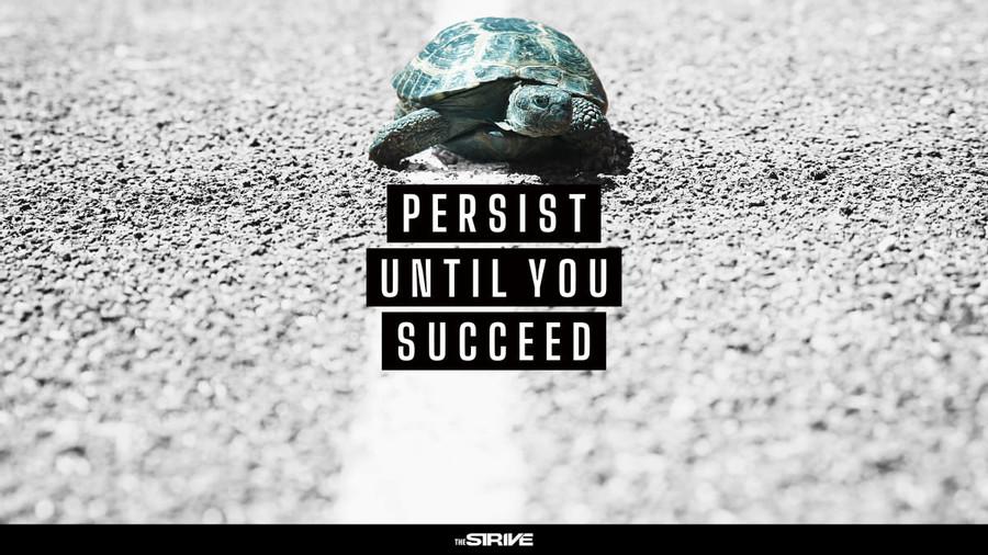 Conclusion - Persist Until You Succeed!