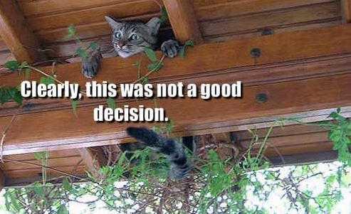 We all make bad decisions