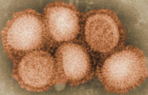 The Asian Flu Pandemic (1957)