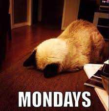 Why Monday looms so large