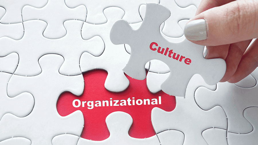 Great organisational cultures are built