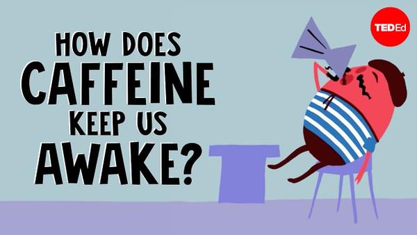 How does caffeine keep us awake? - Hanan Qasim