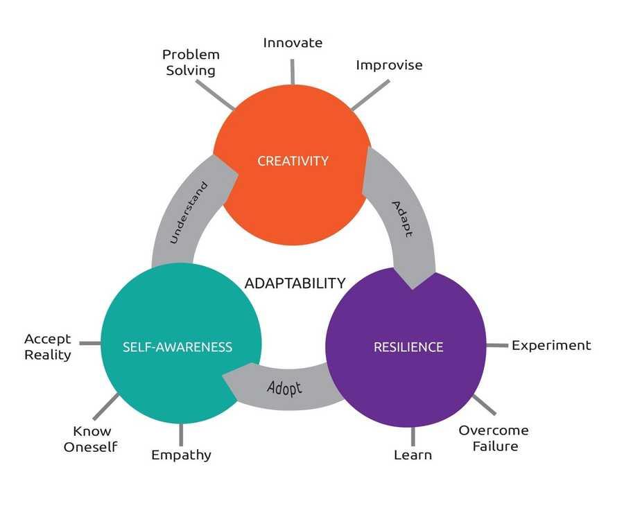 Three Meta-Skills Required To Develop Adaptability