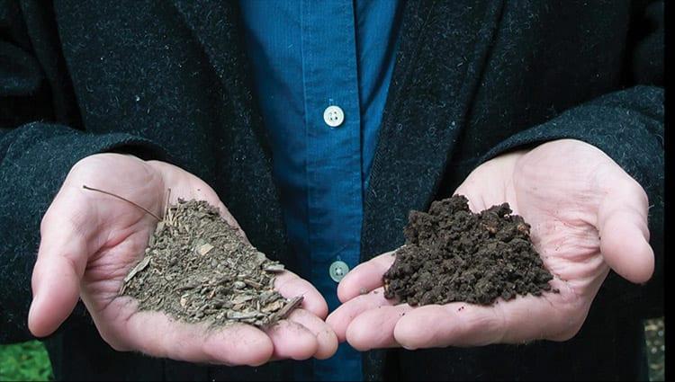 Why regenerative soils are better