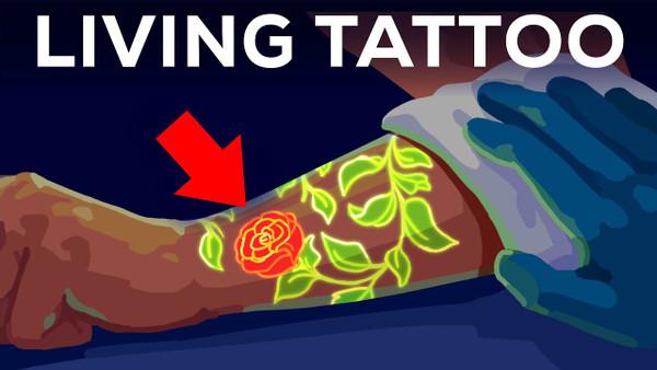 Your Tattoo Leaves Inside Your Immune System