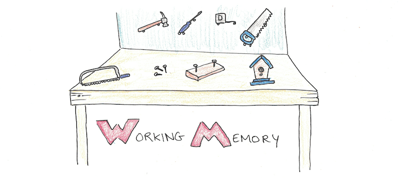 The working memory