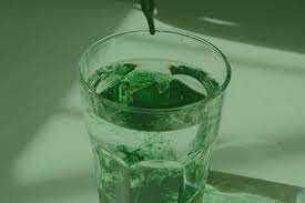 Liquid Chlorophyll's Safeness