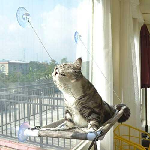 Cat Window Perch - Gifts for pets