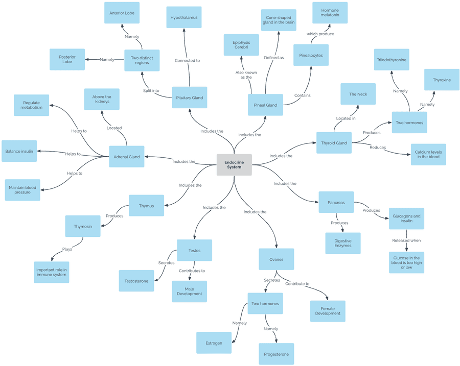 Concept Map Guide