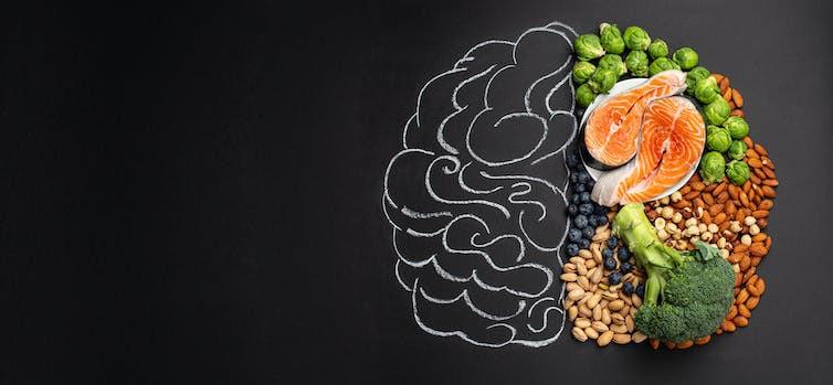 How eating rhythms impact the brain