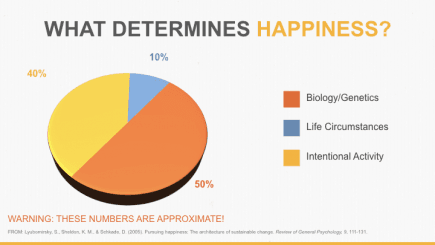 The Happiness Pie Chart