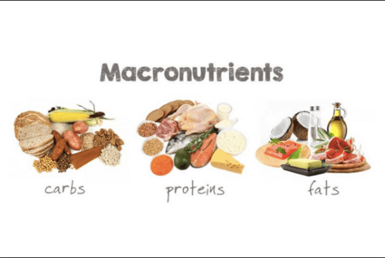 Macronutrient Dieting