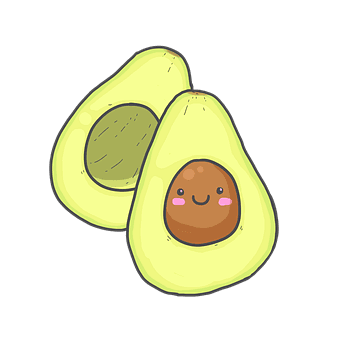 The History of the Avocado