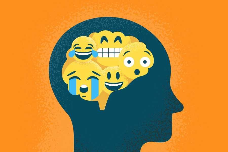 Emotional Intelligence: The Assumptions