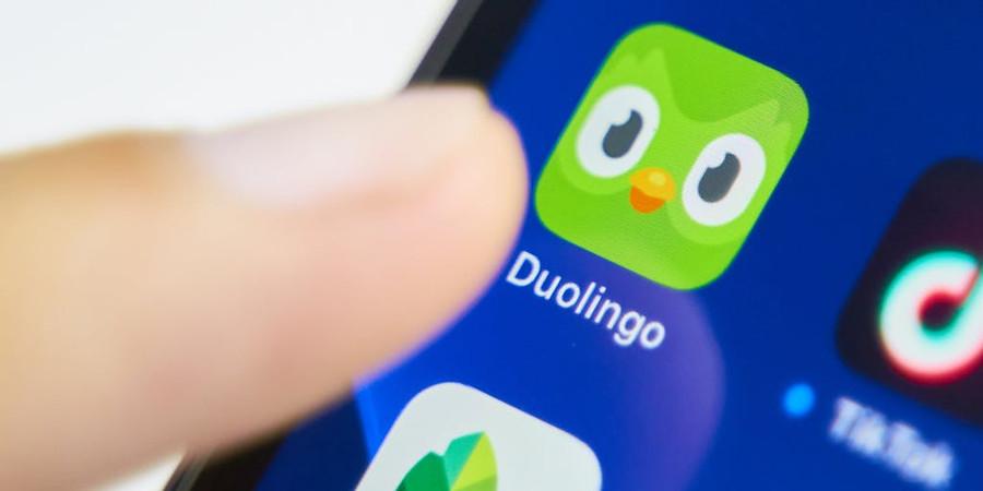 Duolingo's Userbase