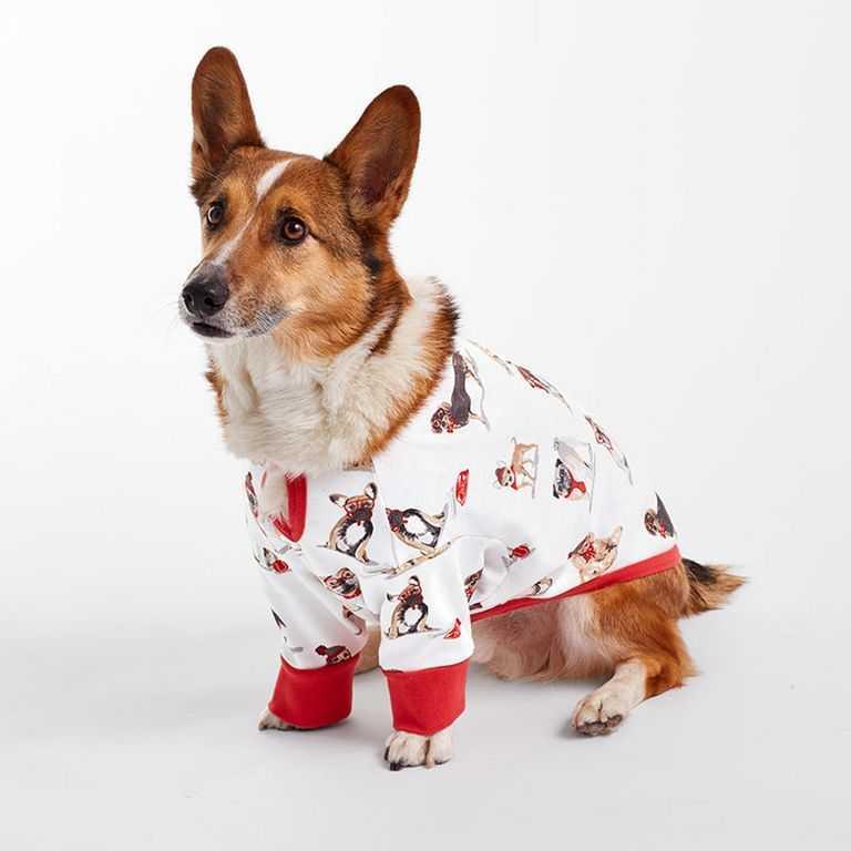 Cotton Dog Pajamas - Gifts for pets