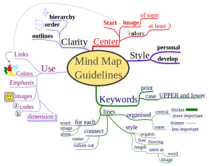 What do I do daily with the mind map?