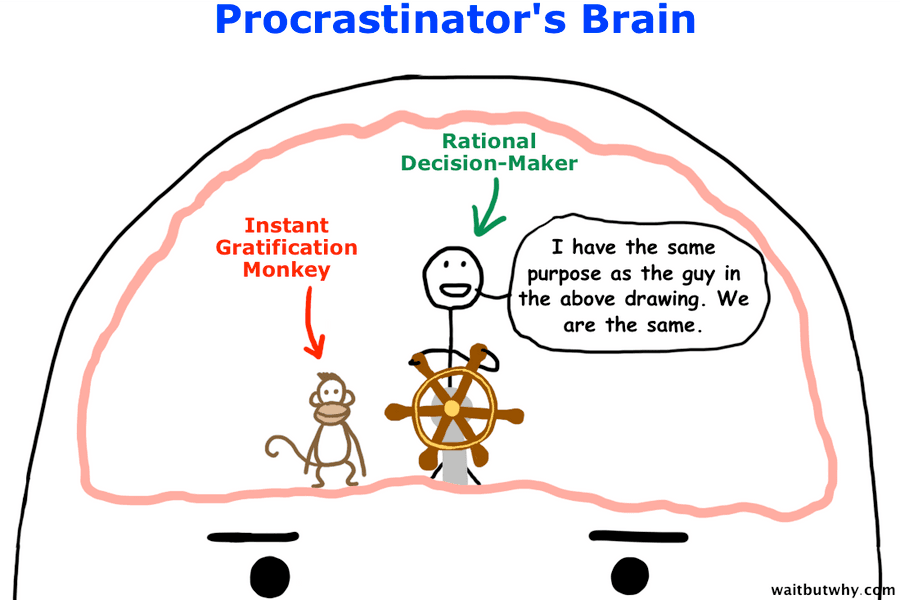 The Instant Gratification Monkey