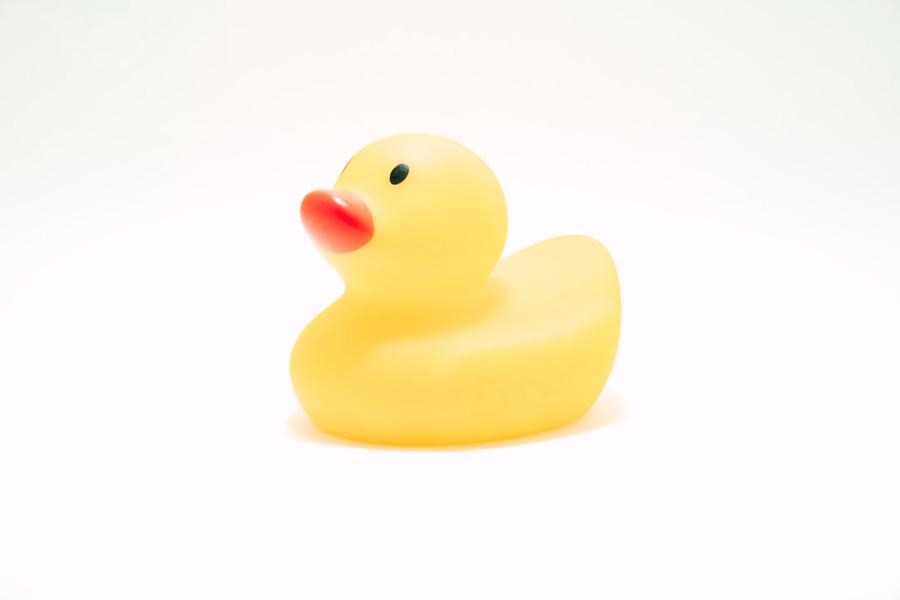 Why some programmers talk to rubber ducks