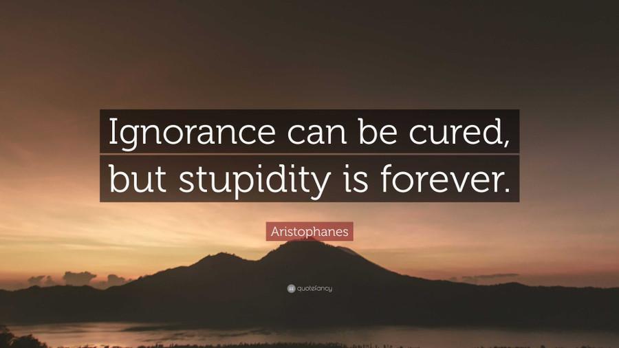 Stupidity Vs Non-Stupidity