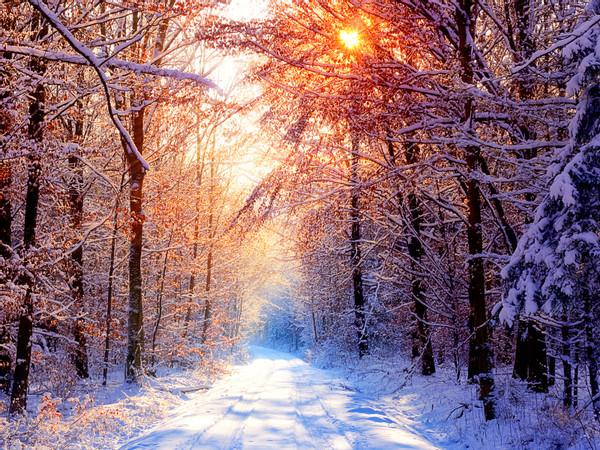 Jim Rohn: Learn How To Handle The Winters