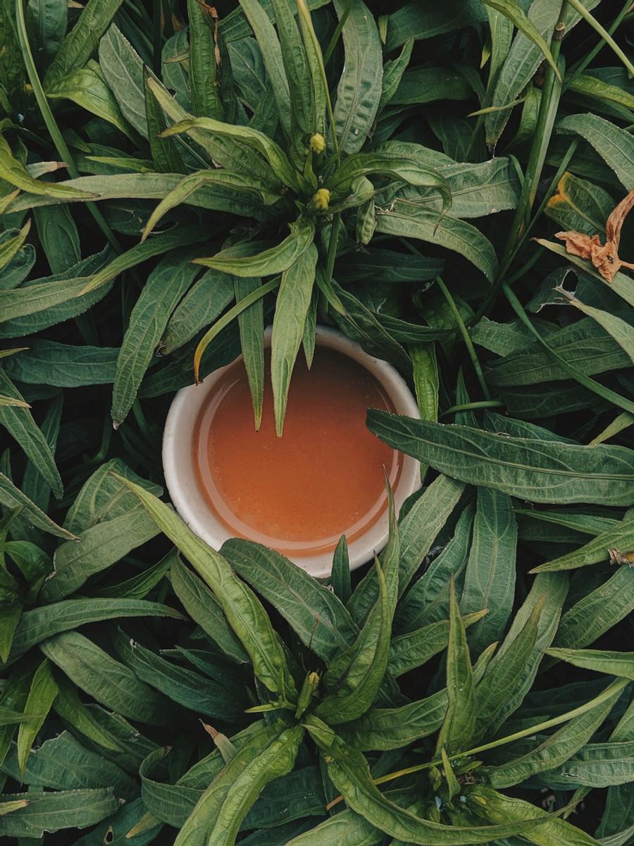 Drink Green Tea or Oolong Tea