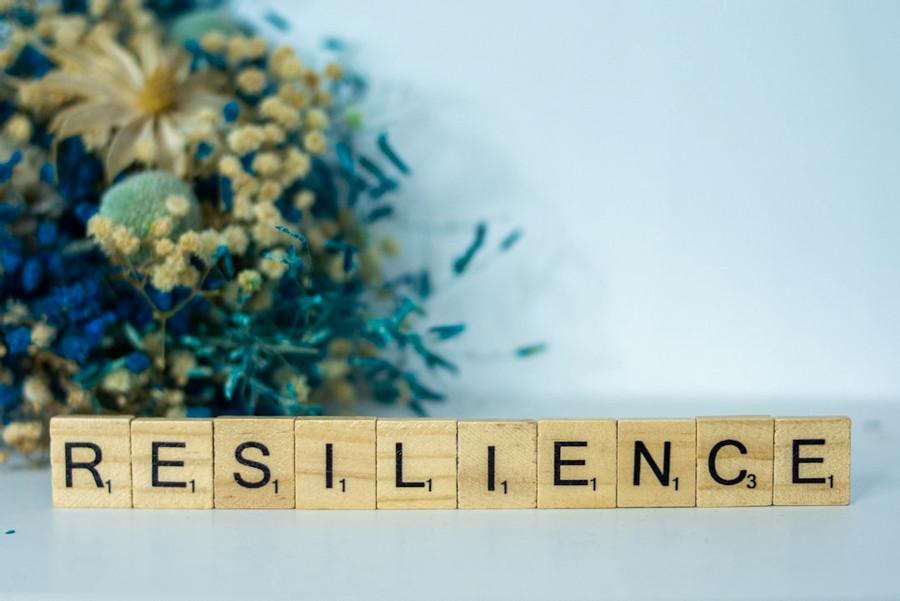 Resilience 