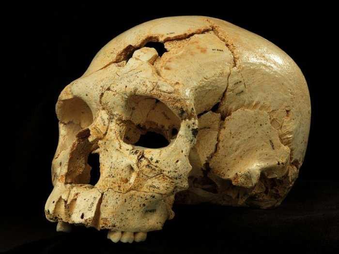 H. Luzonensis: A Polemic Finding (at Least 67,000 Years Ago)