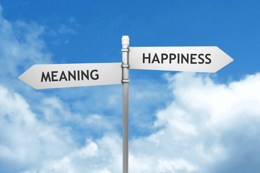 Two central motivations in life: happiness and meaning
