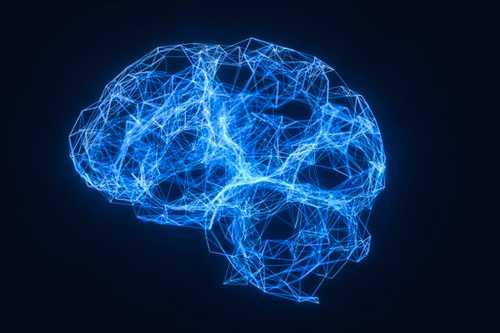 What is the function of the various brainwaves?