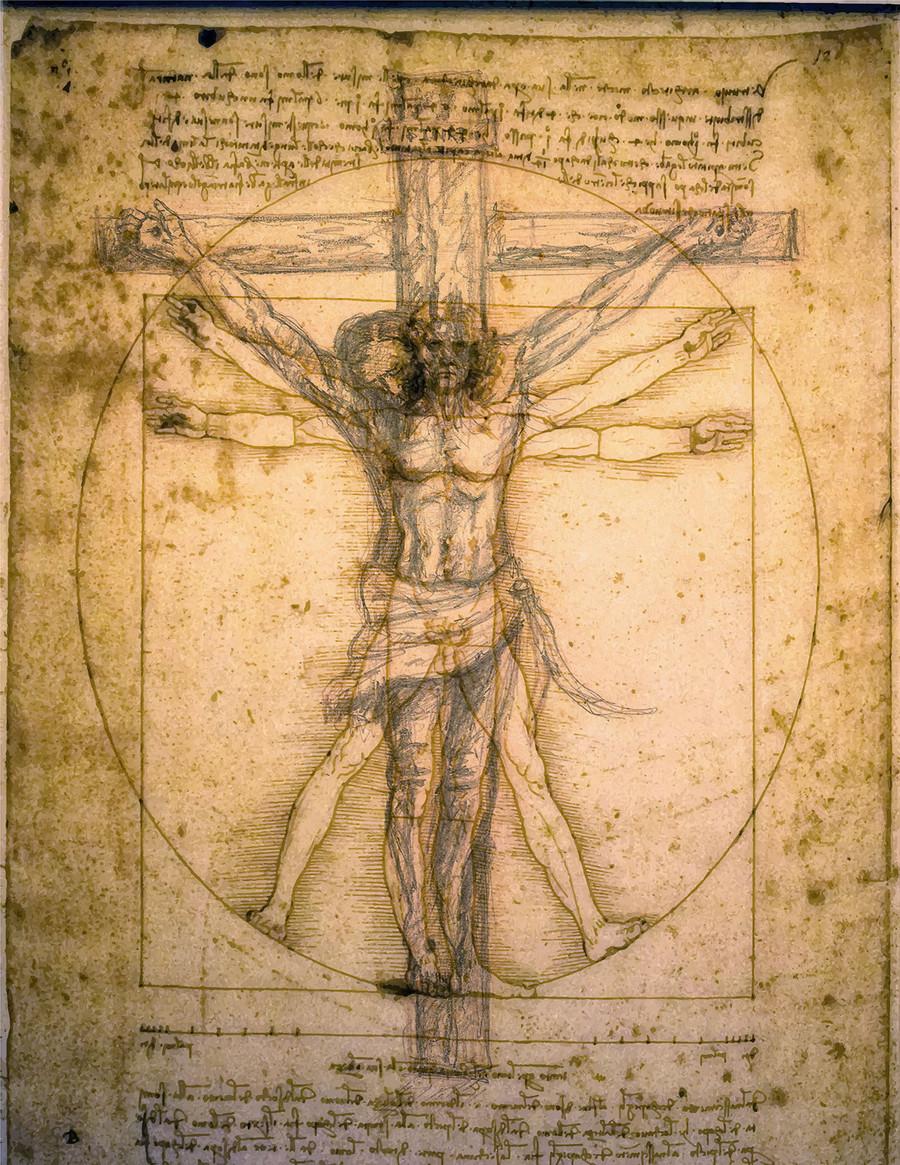 Da Vinci's Studies in Anatomy