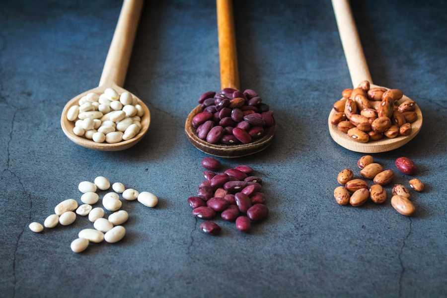 9. Beans for proteins