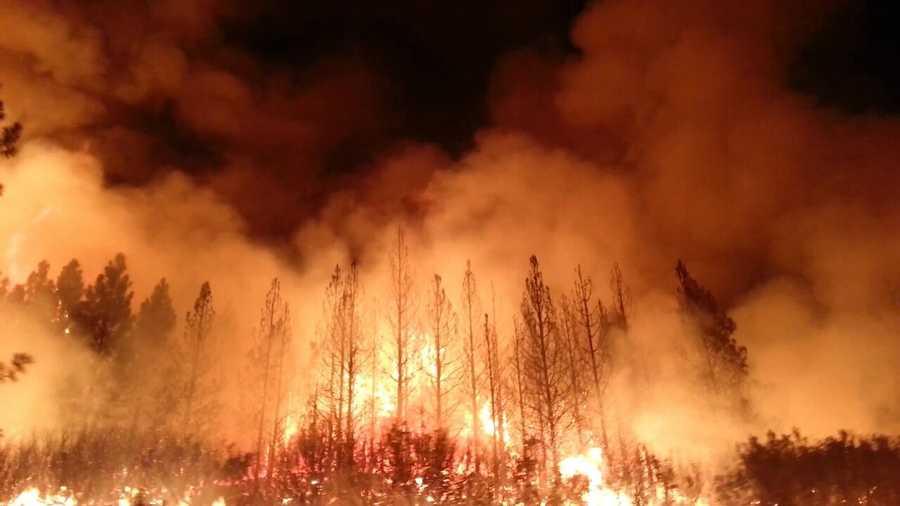 Understanding wildfires