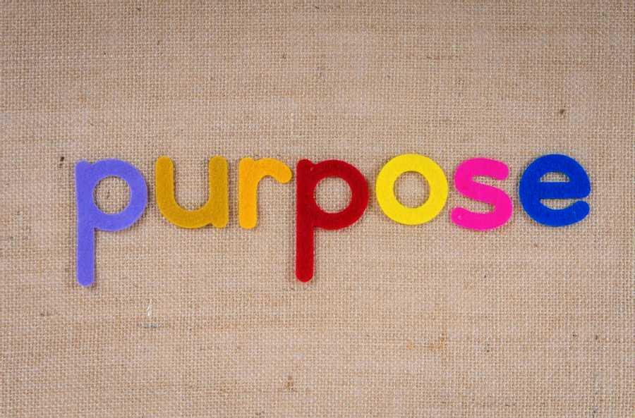 The Freedom Of Purpose
