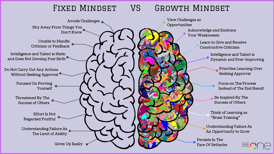 Fixed vs. Growth Mindset