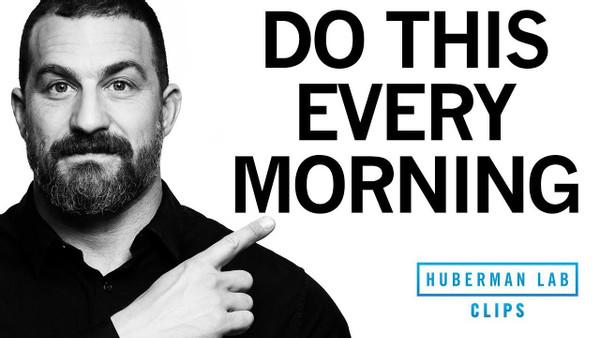 How to Feel Energized & Sleep Better With One Morning Activity | Dr. Andrew Huberman