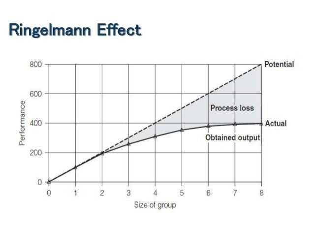 The Ringelmann Effect