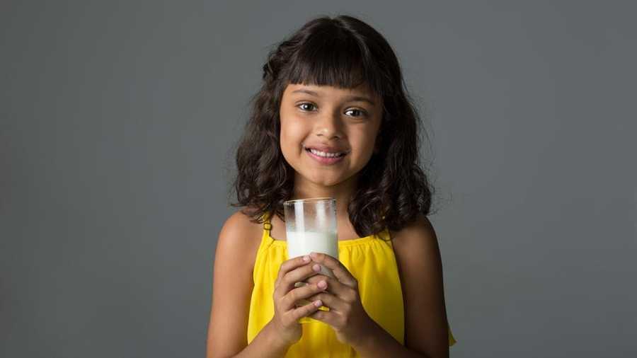 Cow milk and the alternatives