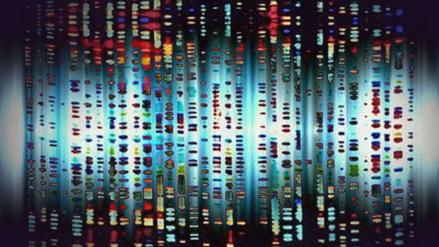 The music genome project