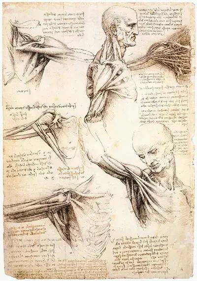 Leonardo da Vinci: The Scientist