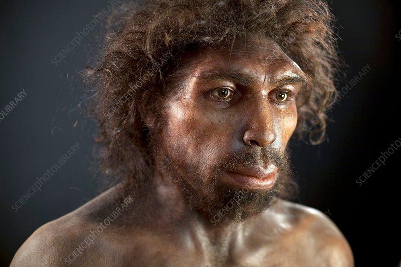 H. Heidelbergensis: The Hunter (700,000 to 200,000 Years Ago)