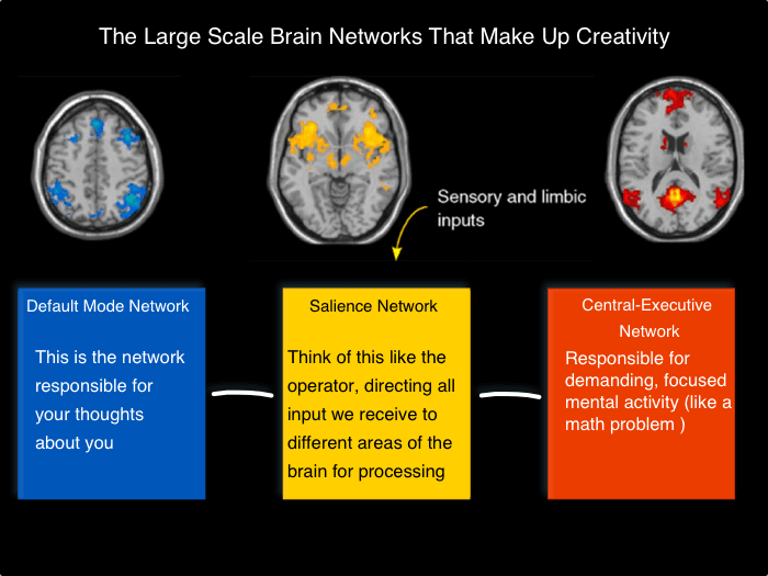 The Default Mode Network